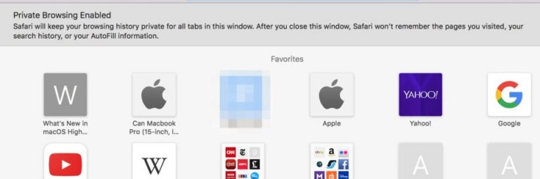 private incognito browser safari private incognito browser safari
