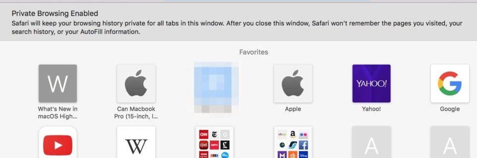 Safari Privacy Mode