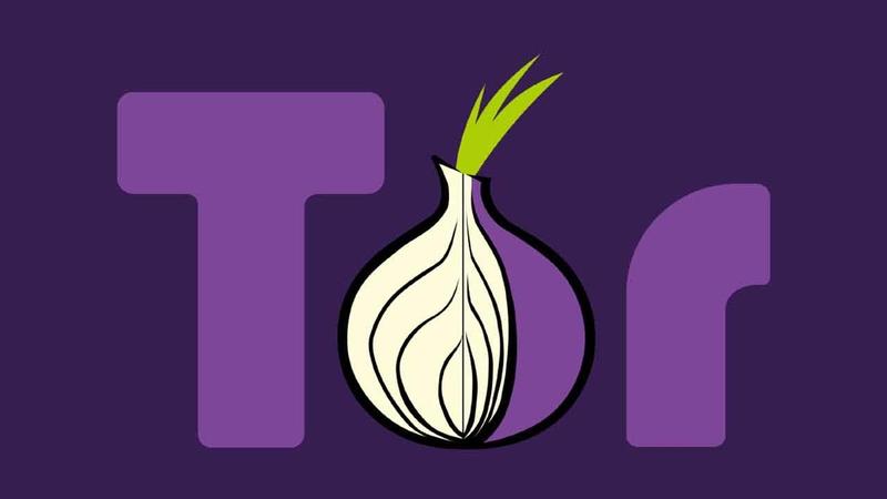 what is tor web