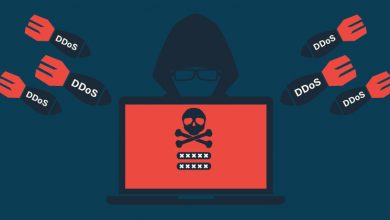 What Are DDoS Attacks?