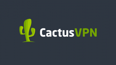 CactusVPN Review