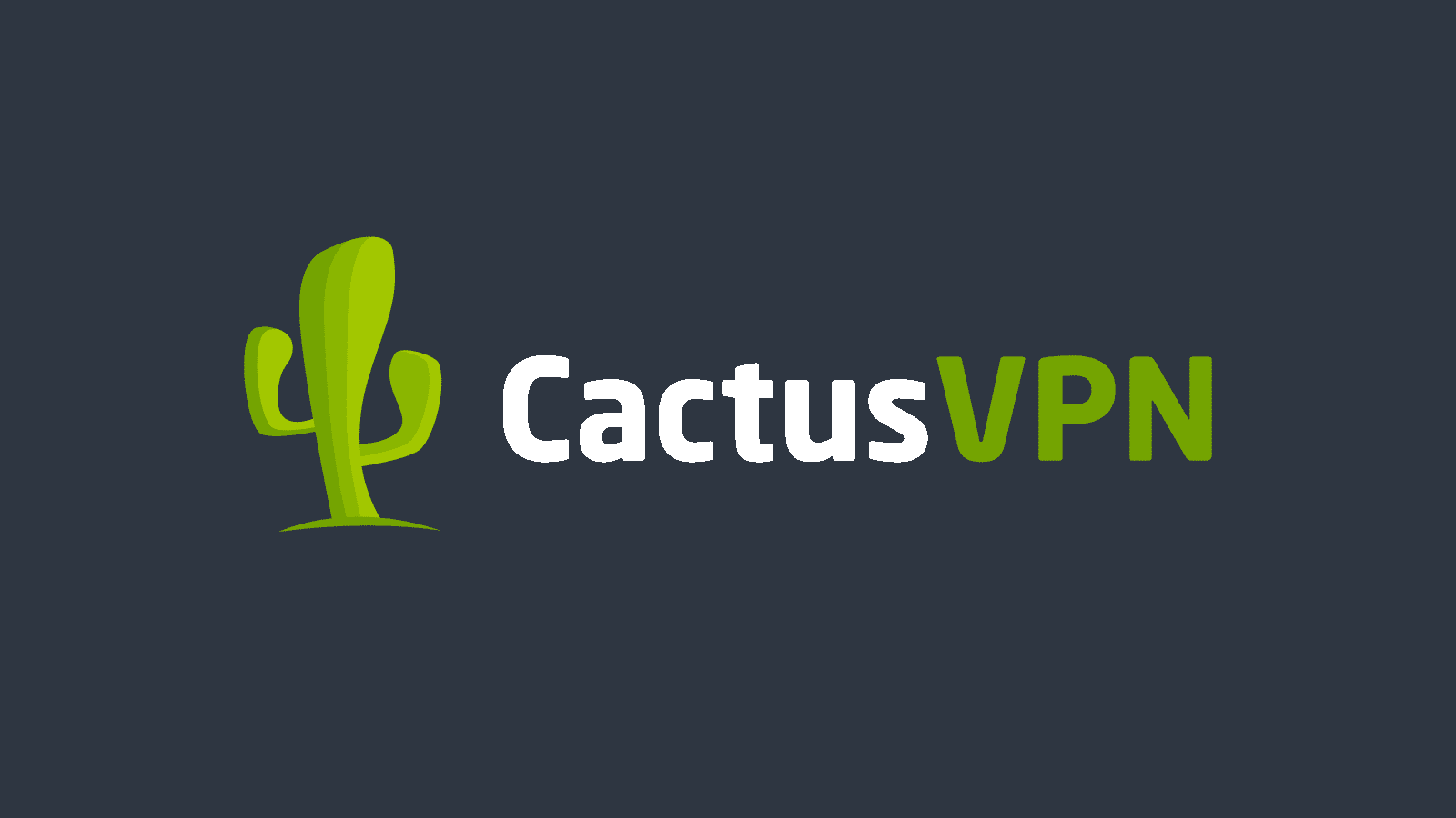 CactusVPN Review