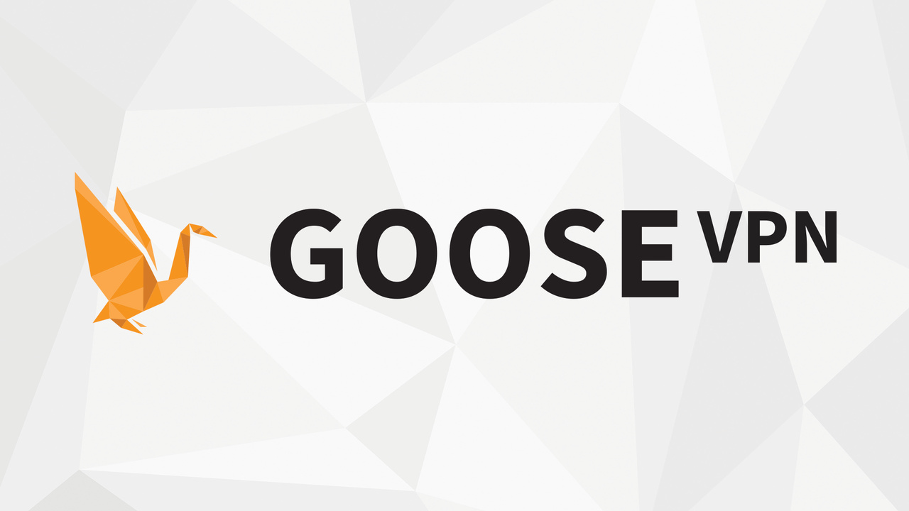 Goose VPN Review