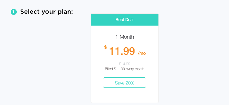 TigerVPN Pricing